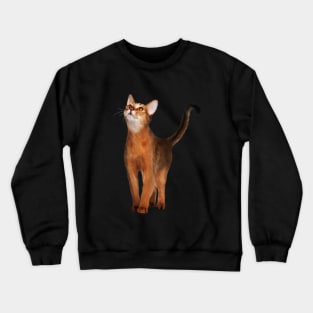 Abyssinian cat, Cat Lover Crewneck Sweatshirt